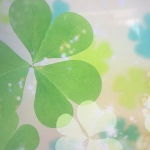 Meet your Posher, Santos